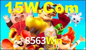 Bonus Features 8563Win