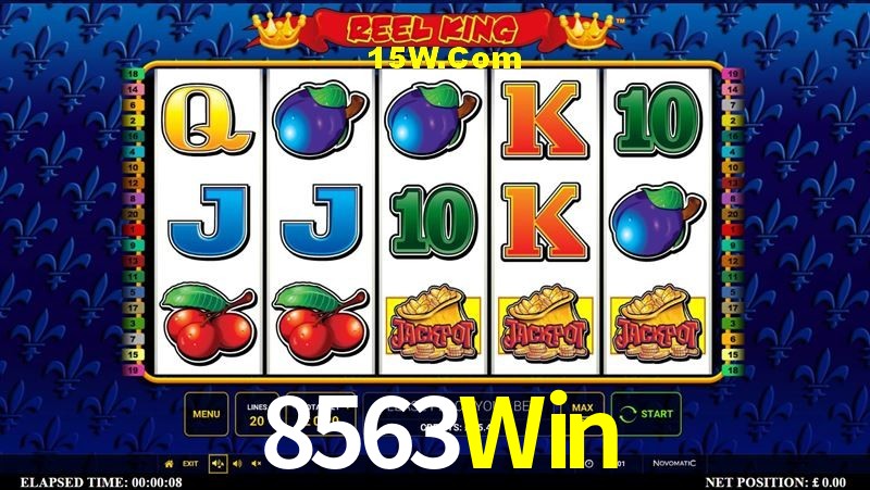 Platform Technology 8563Win